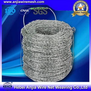 Cheap! Hot Dipped/ Electric Galvanized Double Twist Barbed Wire Fencing Real Factory (ISO)