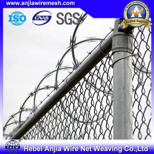 High Tensile Galvanized PVC Coated Barbed Iron Wire for Security